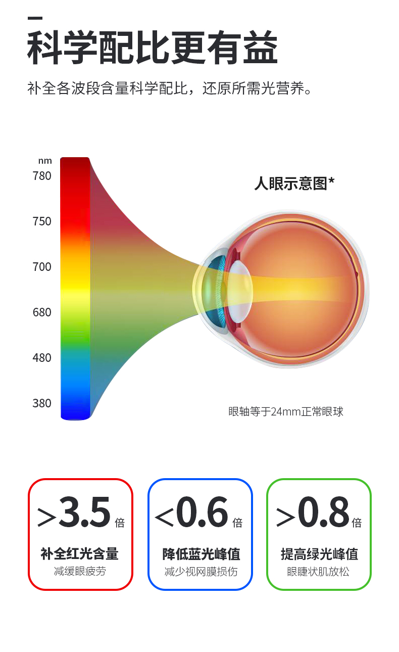 詳情_04.jpg