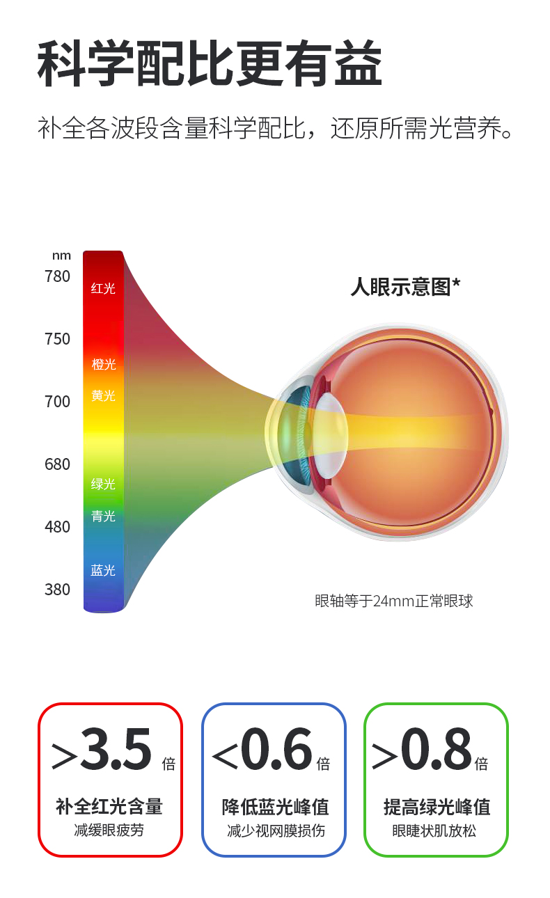 和光圓新_04.jpg